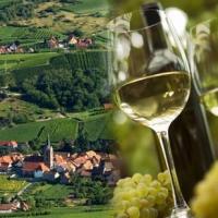 Marche gourmande Alsace
